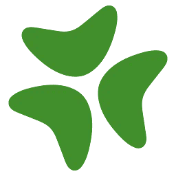 Bloomerang logo